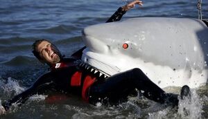 Medium robotsharks.jpg