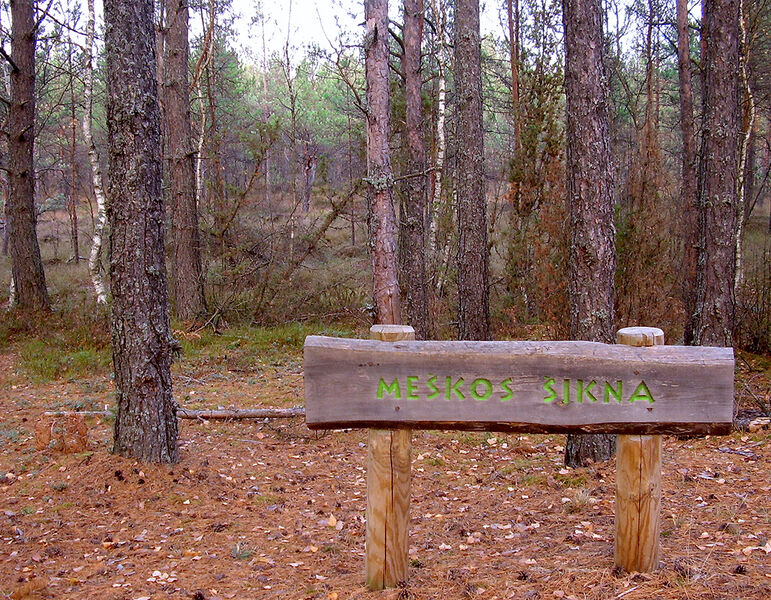 Vaizdas:Meskos sikna.jpg