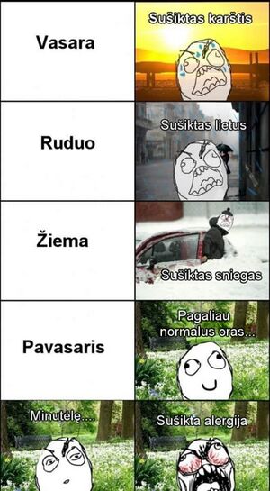 Metu laikai vasara ruduo ziema pavasaris alergija.jpg