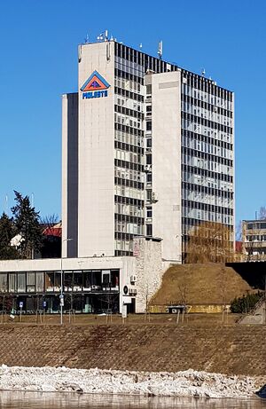 Molesta vilnius dangoraizis.jpg