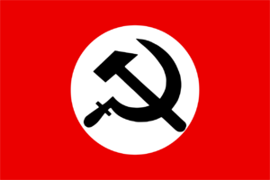 Nacionalbolseviku partijos veliava.png