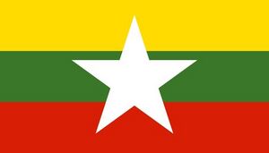 Naujoji-mianmaro-vliava.jpg