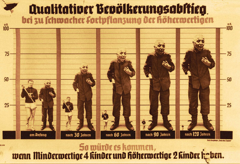 Vaizdas:Nazi eugenics poster.jpg