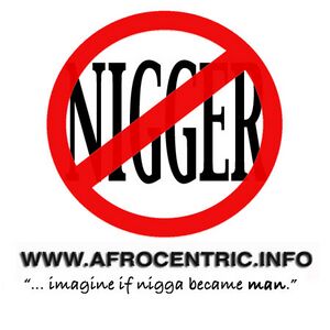 No-Nigger.jpg