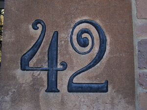Number 42.jpg