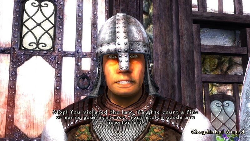 Vaizdas:Oblivion guard.jpg