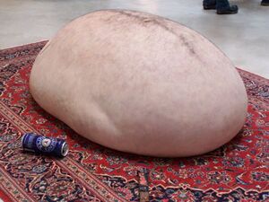 Pilvas ant kilimo.jpg