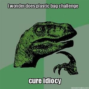 Plastic bag challenge.jpg