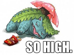 Pokemonas bulbazauras venusaur.jpg