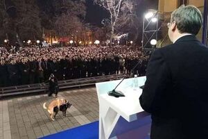 Politikas politikierius.jpg