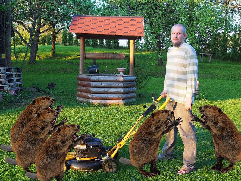 Vaizdas:Romas Sadauskas su bebrais.jpg