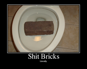 Shit Bricks.png