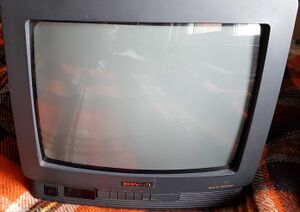 Shivaki telikas.jpeg