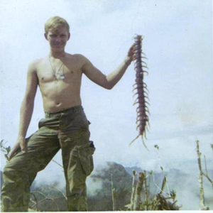Simtakojis skolopendra.png
