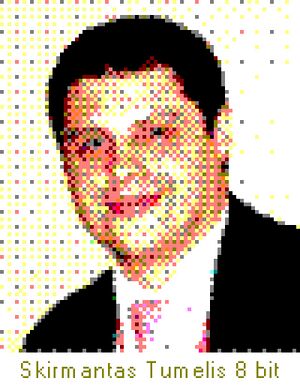 Skirmantas-tumelis-8-bit.jpg