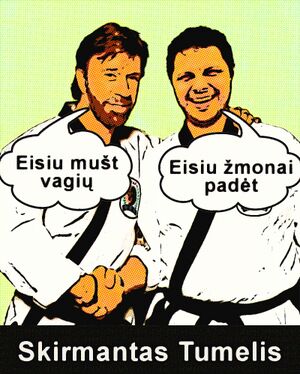Skirmantas tumelis chuck norris.jpg