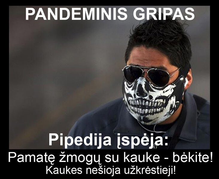Vaizdas:Skull-flu-mask.jpg