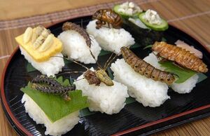 Sushi.jpg