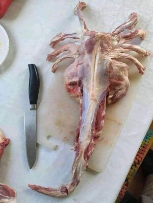 Svetimas lerva.jpeg