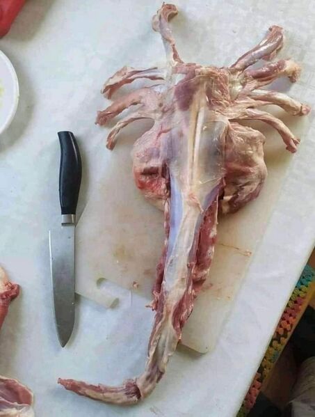 Vaizdas:Svetimas lerva.jpeg