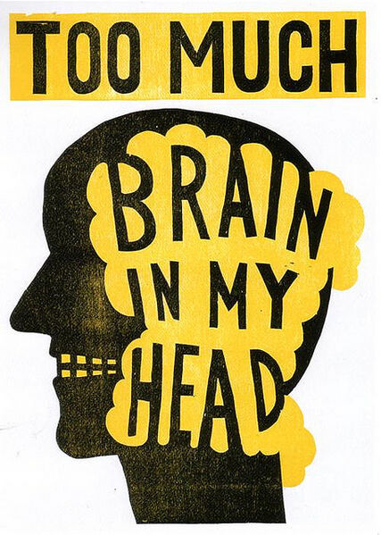 Vaizdas:Too much brain.jpg