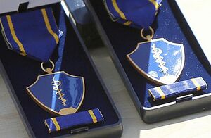 Verygos medalis medaliai.jpg