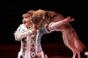 Vilkas cirke 02.jpeg