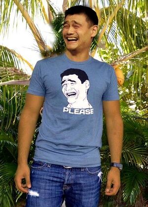 Yao-ming-wearing-yao-ming-meme-shirt.jpg