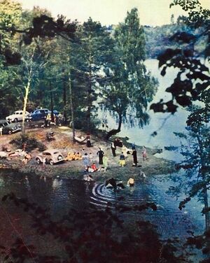 Zalieji ezerai masinos 1954 sparnaitis.jpg