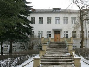 Ziegzdriu psichiatrine ligonine.jpg