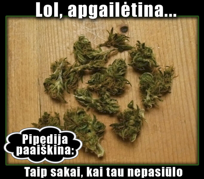 Vaizdas:Zole.jpg